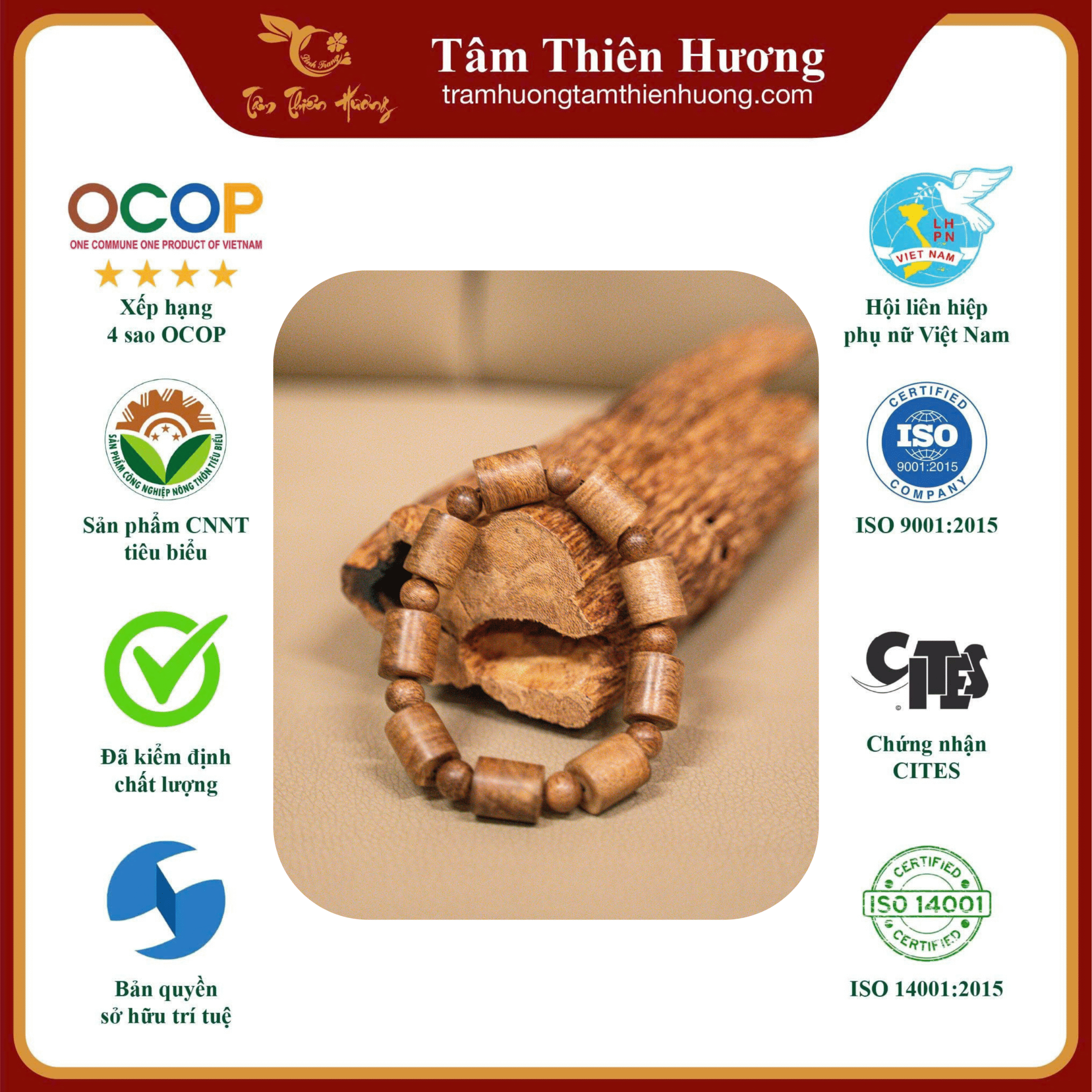 vong tram huong dang truc